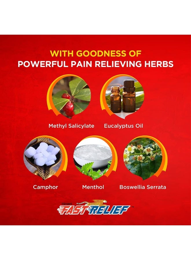 Himani Fast Relief Herbal Pain Relief Ointment 100 G - Image 5